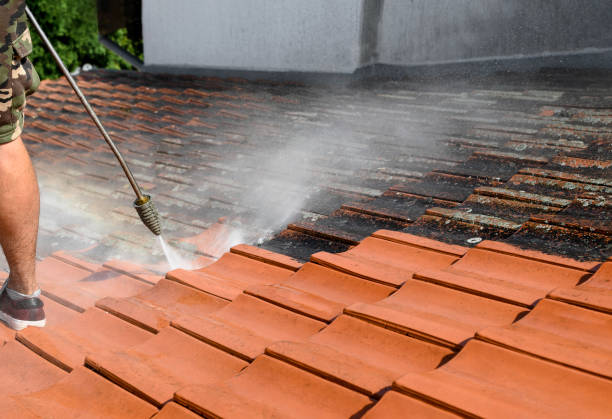 Best Sidewalk Pressure Washing  in Allen Park, MI