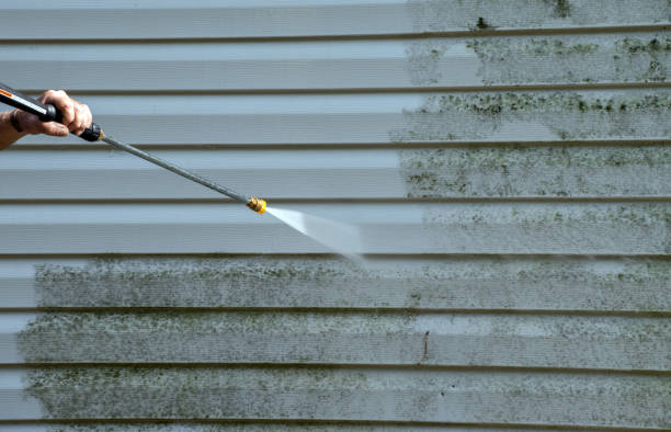 Best Deck Cleaning Services  in Allen Park, MI
