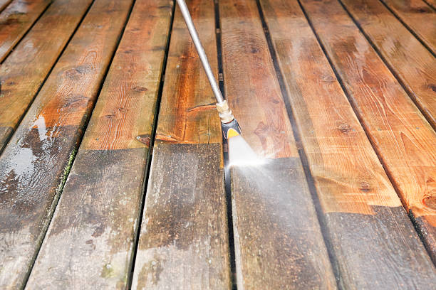 Best Local Pressure Washing Services  in Allen Park, MI